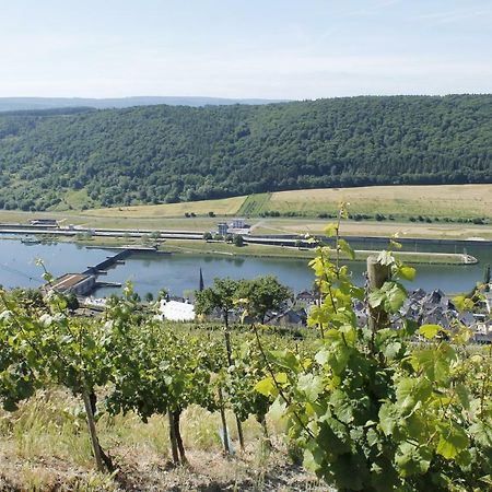 Ferienhaus Moselblick Mit Kostenfreien Oepnv-Ticket Ürzig エクステリア 写真