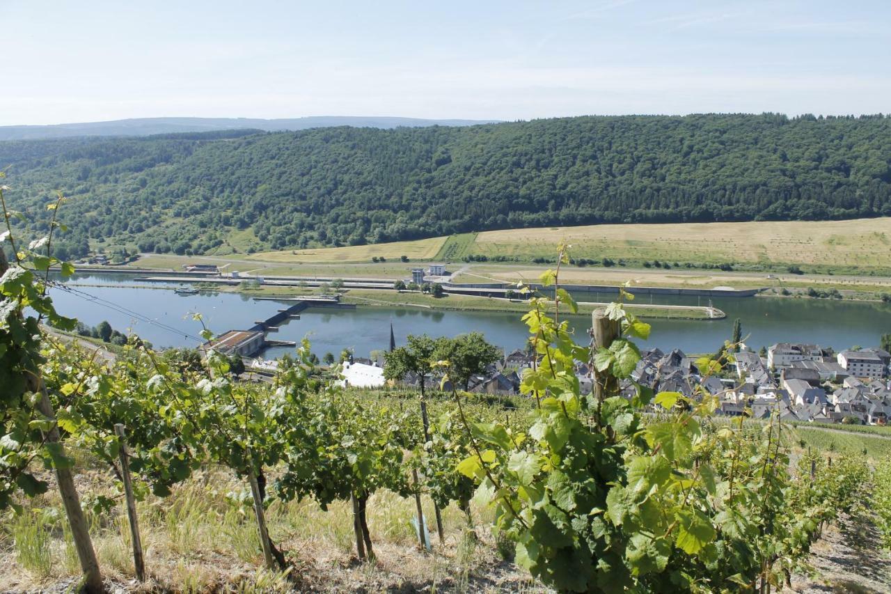 Ferienhaus Moselblick Mit Kostenfreien Oepnv-Ticket Ürzig エクステリア 写真