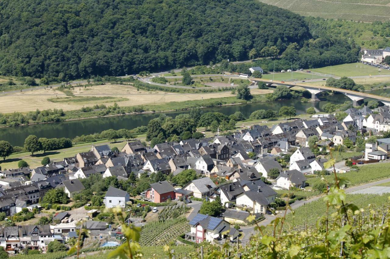 Ferienhaus Moselblick Mit Kostenfreien Oepnv-Ticket Ürzig エクステリア 写真