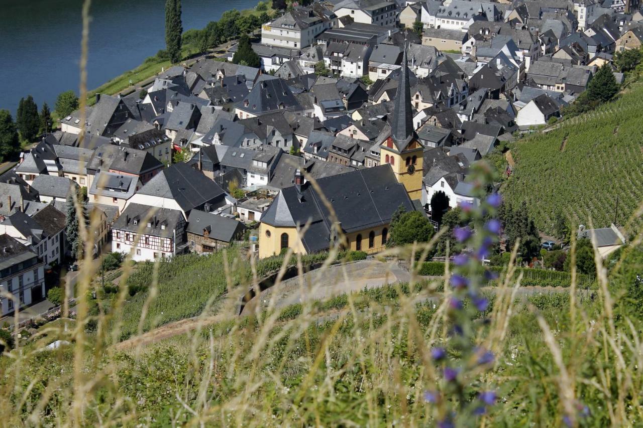 Ferienhaus Moselblick Mit Kostenfreien Oepnv-Ticket Ürzig エクステリア 写真